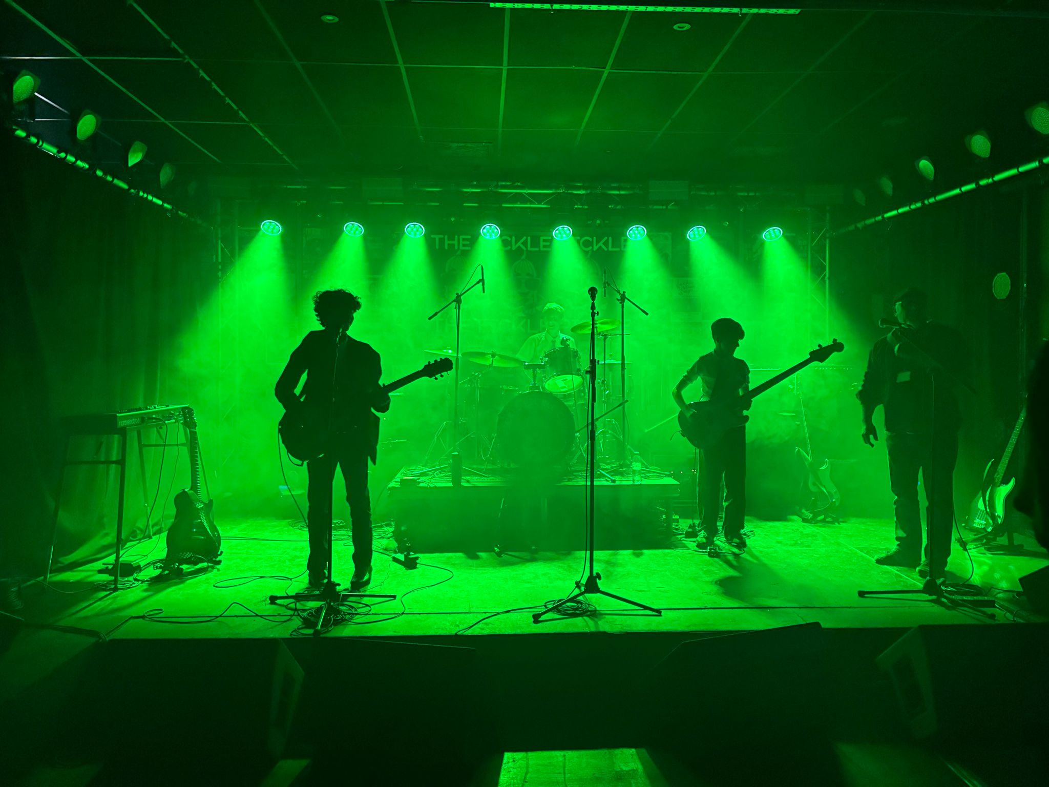 Fickle Pickle Preview